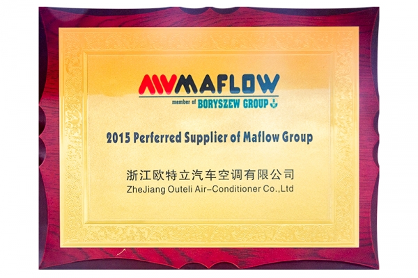 Outstanding Supplier of the Mafra Group in 2015